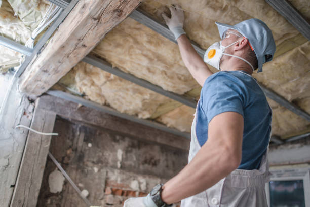Best Insulation Materials and Products in Little River, SC